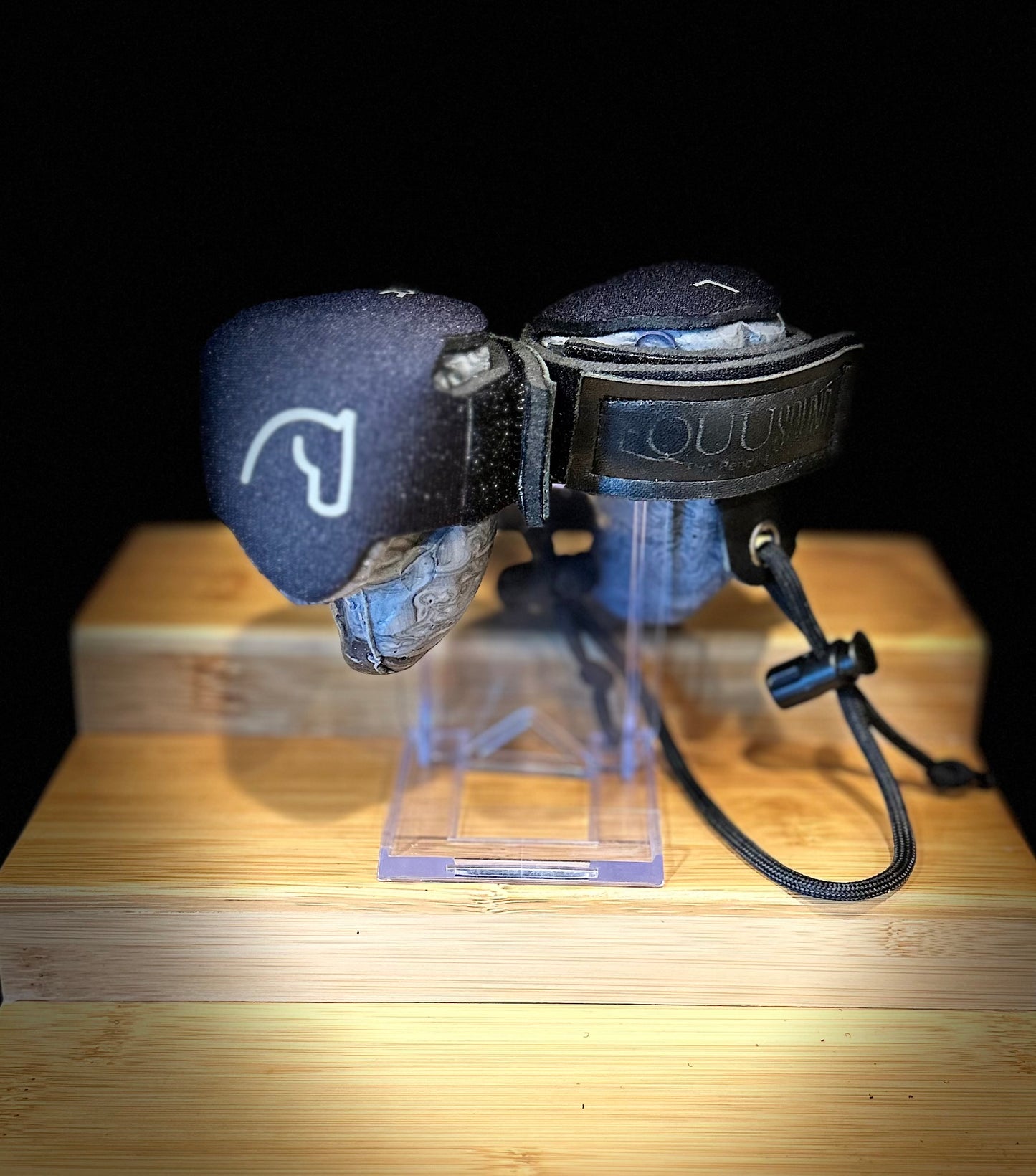 My Horse Was Measured By An EquuSound Pro